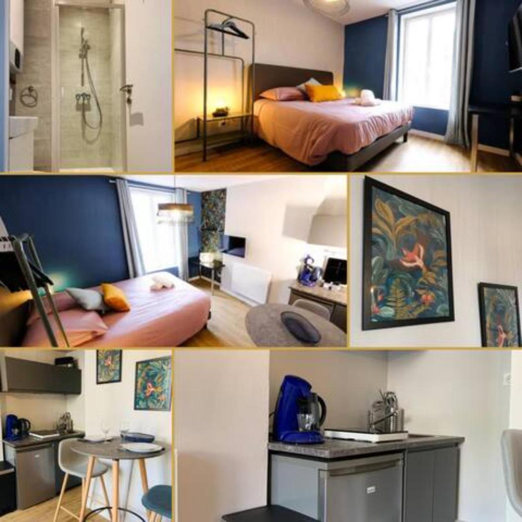Luxueux Studio Rue Bannier Neuf Lägenhet Orléans Exteriör bild